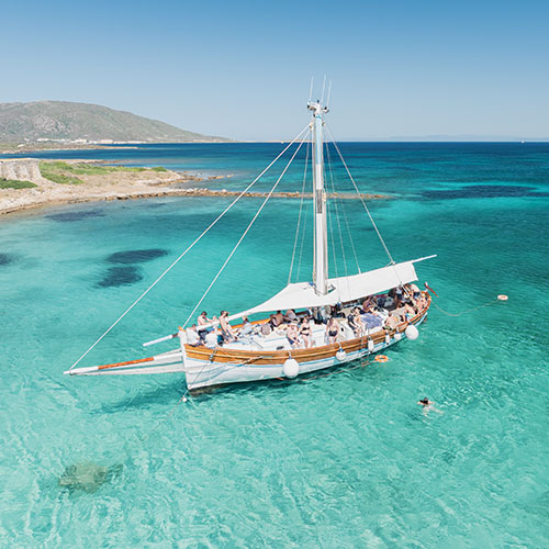 Tour all'Asinara